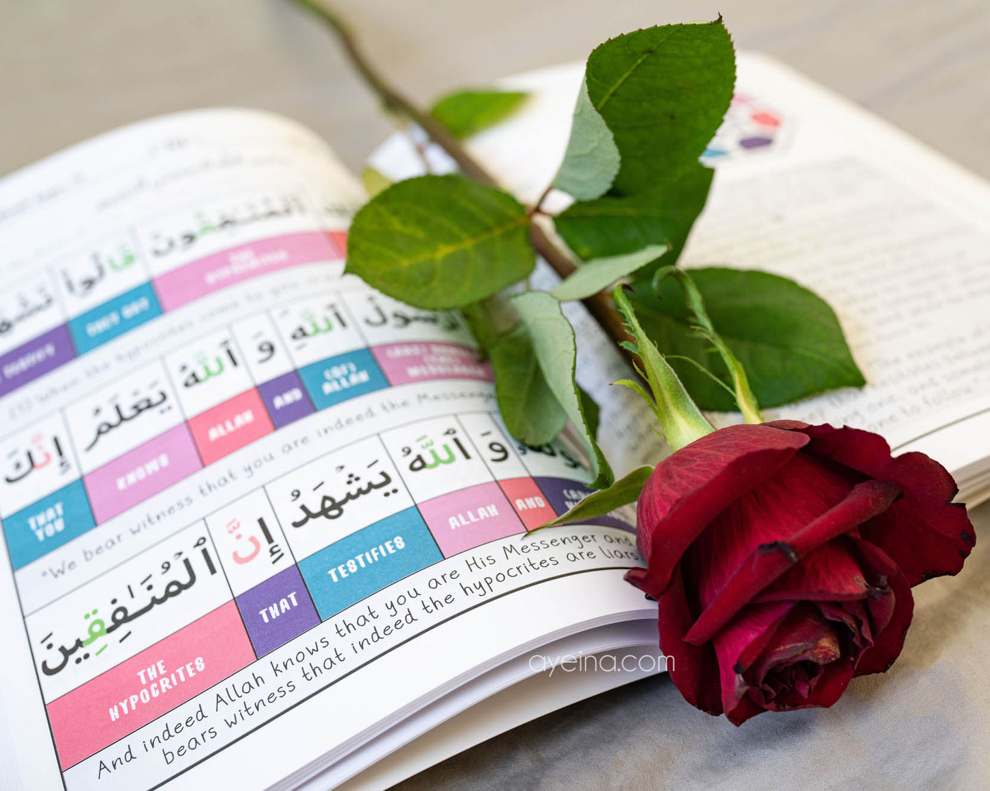 Juz Journals for Kids