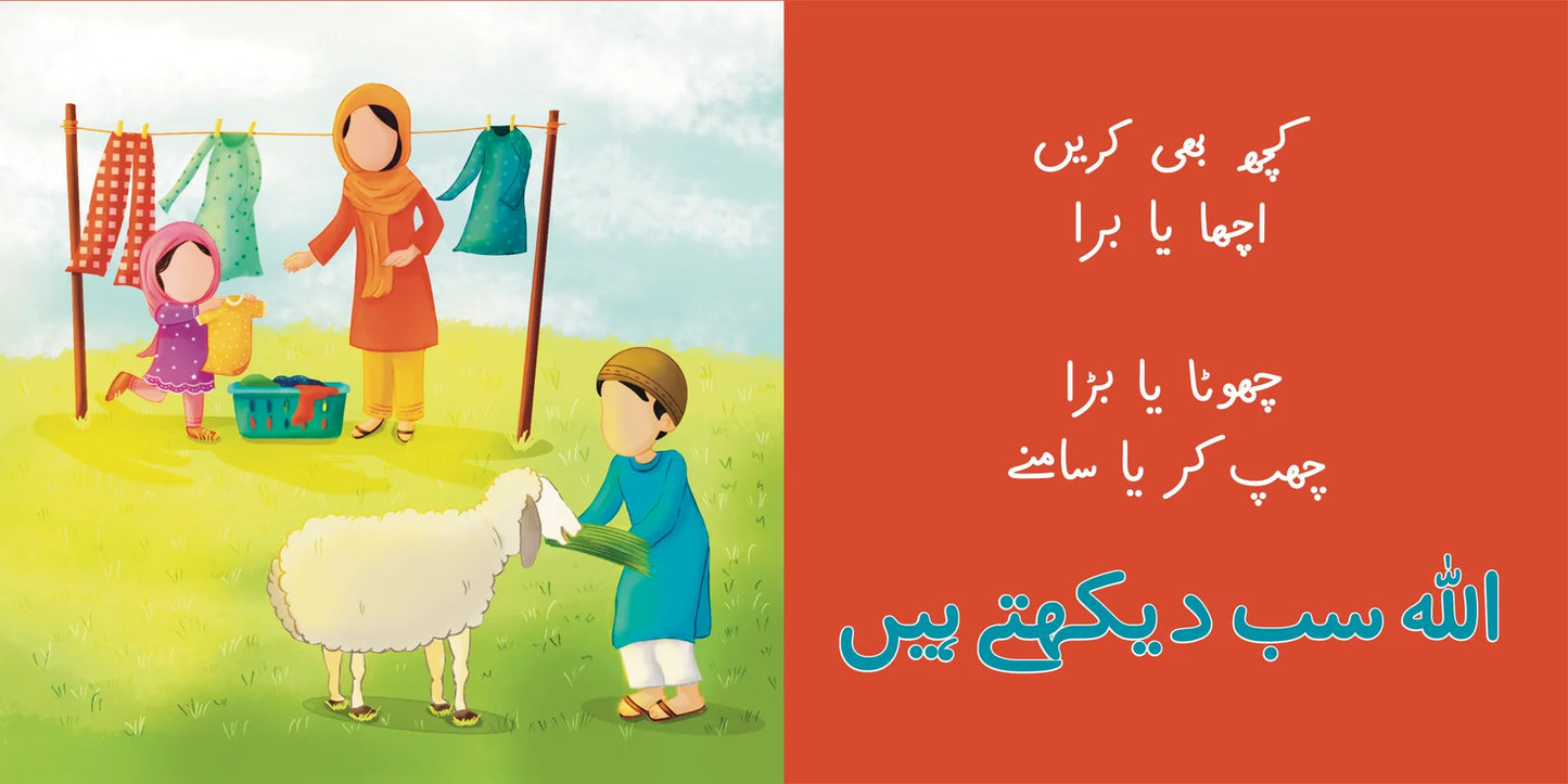 Allah sab jaantay hain